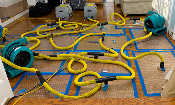Professional Basement Flood Cleanup technician working in Lyndhurst, VA