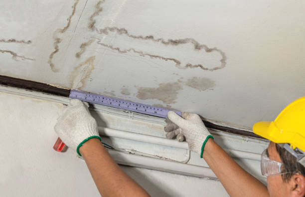 Affordable Basement Flood Cleanup solutions in Lyndhurst, VA